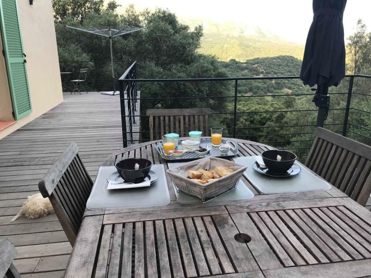La Villa Volpaso Belgodère Buitenkant foto